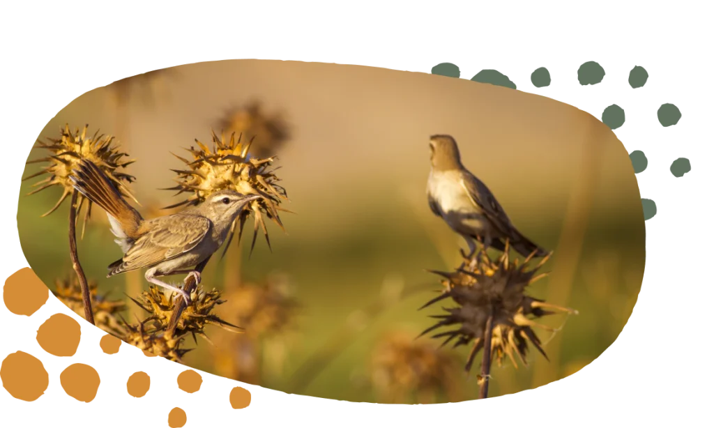 02 tailor-made tours